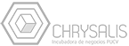 Incubadora de Negocios Chrysalis PUC Valparaíso